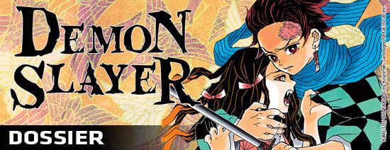 Banner_Dossier_demon_slayer_partie_1.jpg