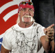 manga - HOGAN Hulk