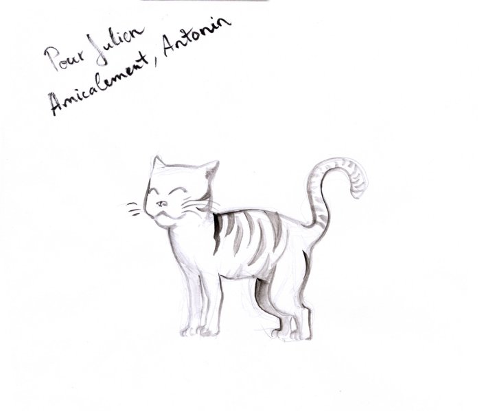 Petit Chat
