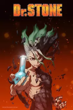 Manga - Manhwa - Dr Stone - Saison 1