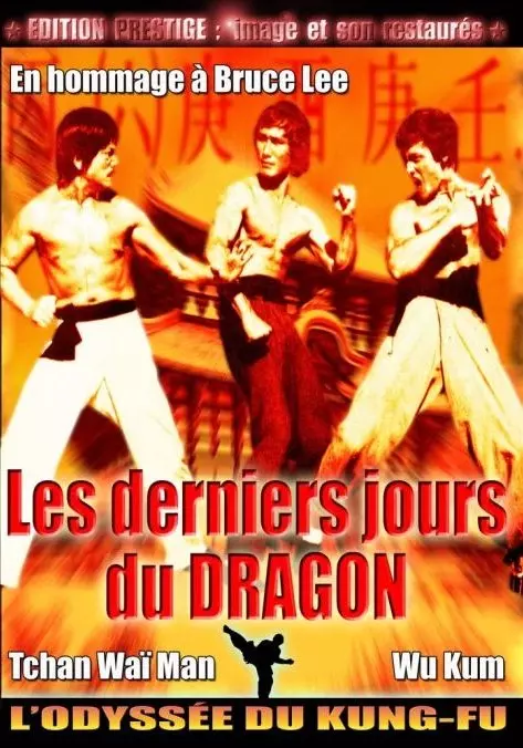Derniers jours du Dragon (Les)