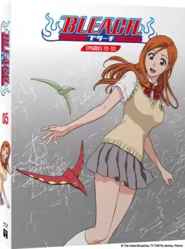 Anime - Bleach - Edition Blu-ray Vol.5