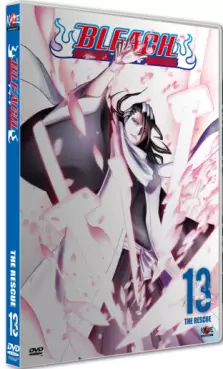 Anime - Bleach Vol.13
