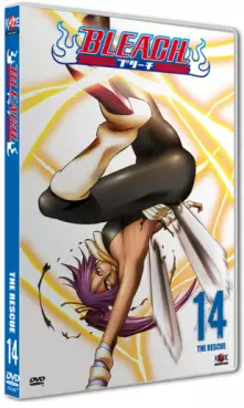 Anime - Bleach Vol.14