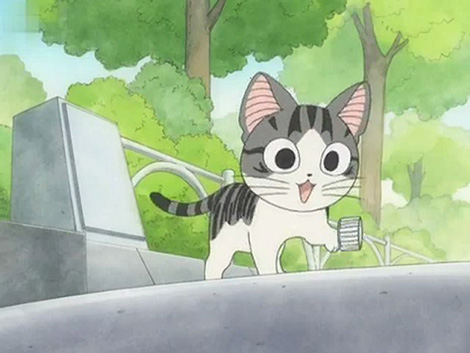 Dvd - Chi - Une vie de chat Vol.1
