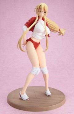 Shizuka Marikawa - Ver. Gym Uniform - Chara-Ani