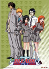 Bleach - Poster Equipe Ichigo Ecoliers
