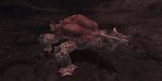 jeux video - Final Fantasy XI - Explorateurs d'Adoulin