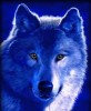Logo Seawolf