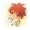 chachan