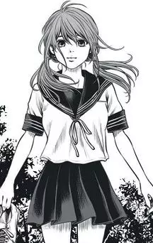 actualité Manga News illustration