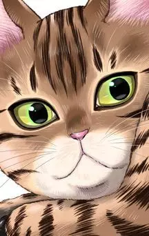 actualité Manga News illustration