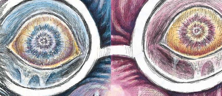 actualité Manga News illustration