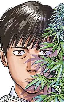 actualité Manga News illustration