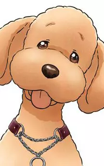 actualité Manga News illustration