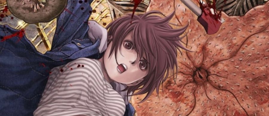 actualité Manga News illustration