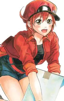 actualité Manga News illustration
