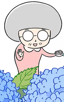 actualité Manga News illustration