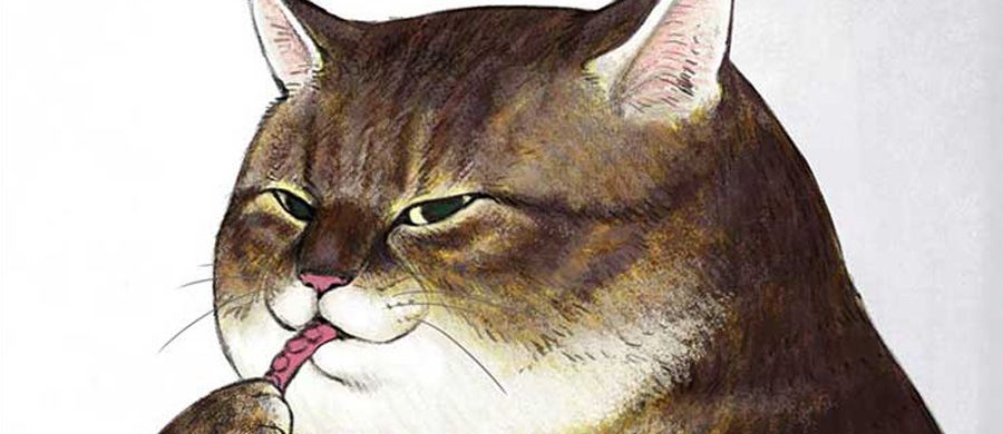 actualité Manga News illustration