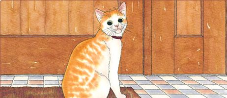 actualité Manga News illustration