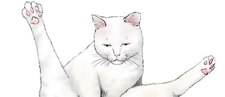 actualité Manga News illustration
