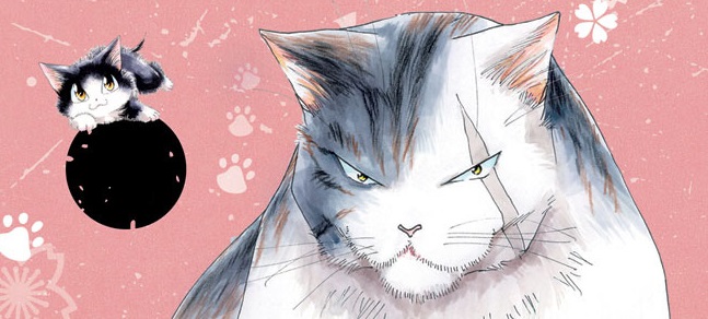actualité Manga News illustration