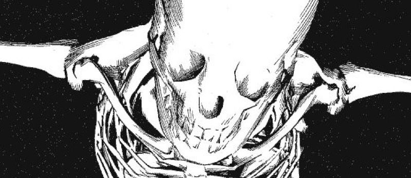 actualité Manga News illustration