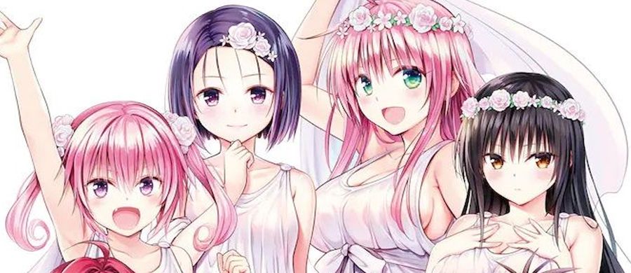 actualité Manga News illustration
