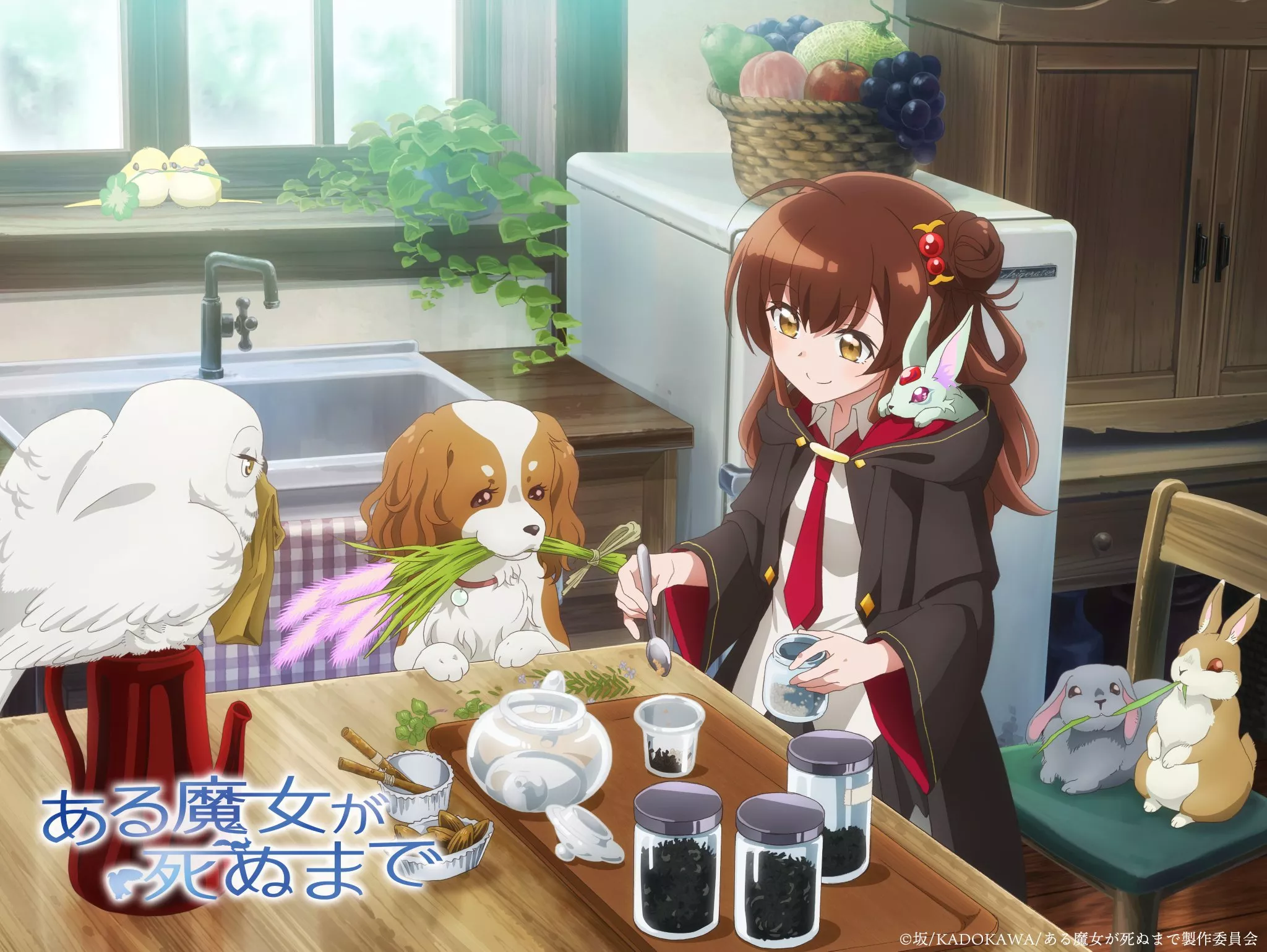 Aru Majo ga Shinu Made anime visual 2.
