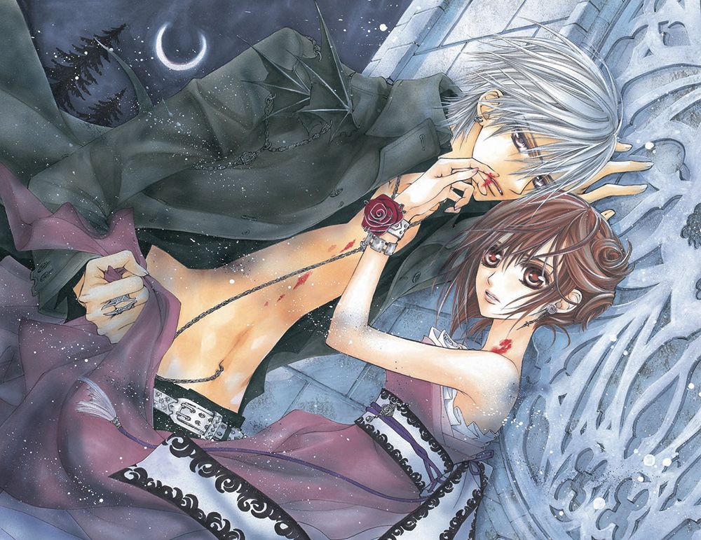 Vampire kinght visual 4