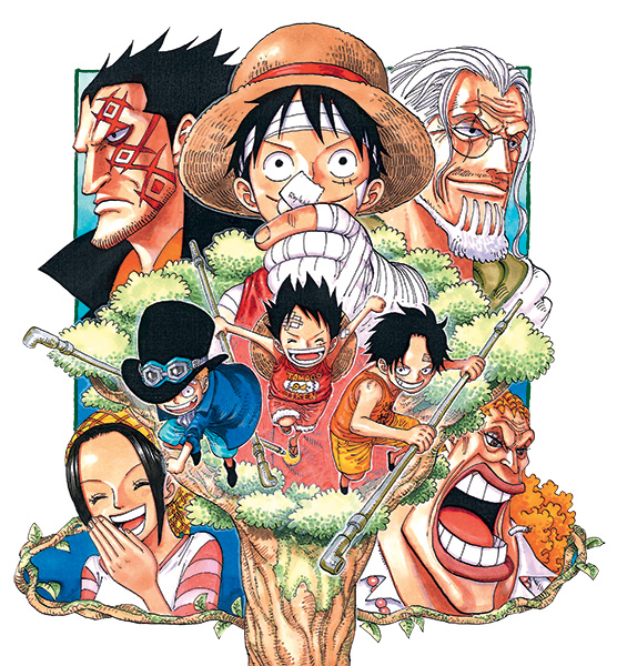 One piece visual 8