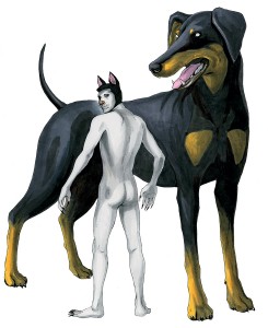 Virgin dog revolution visual 4