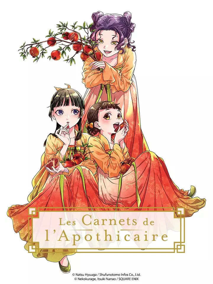Carnet de apoticaire visuel 3.