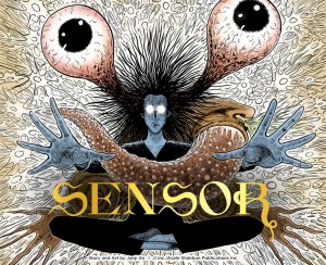 Sensor visual 1
