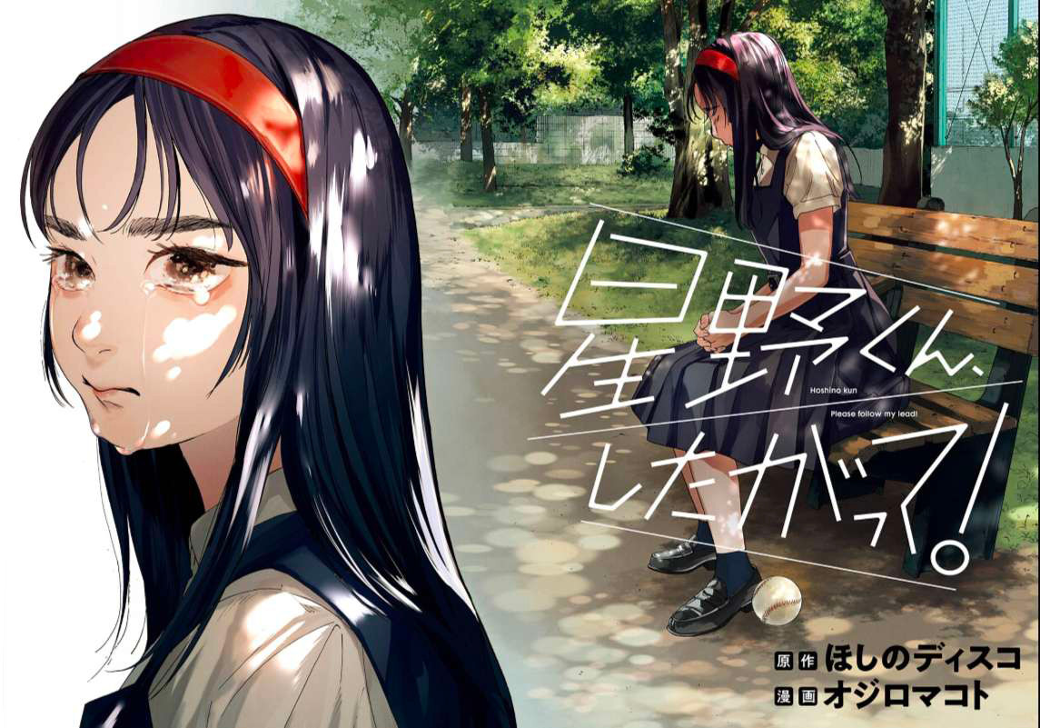 Hoshino kun shitagatte annonce jp