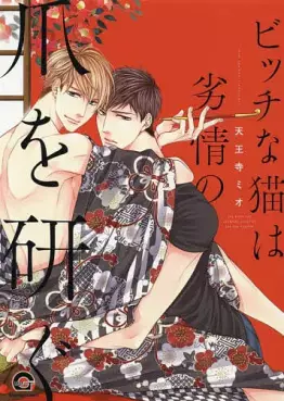 Manga - Bitch na Neko wa Retsujô no Tsume wo Togu vo