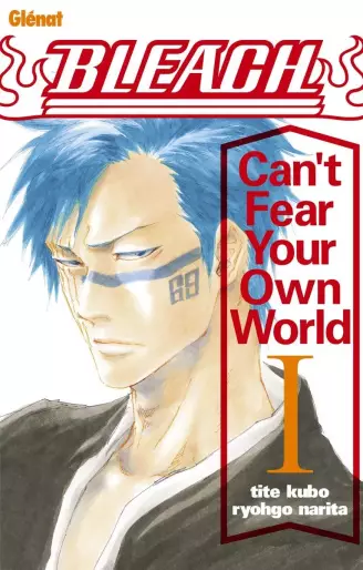 Manga - Bleach - Romans