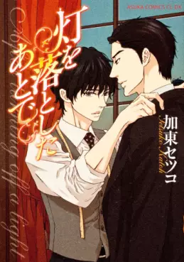 Manga - Hikari wo Otoshita Ato de vo