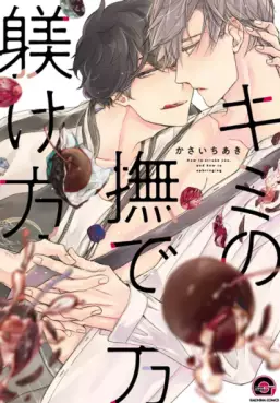 Manga - Kimi no Nadekata Shitsukekata vo