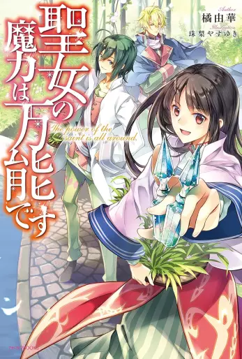 Manga - Seijo no Maryoku wa Bannô desu - Light novel vo