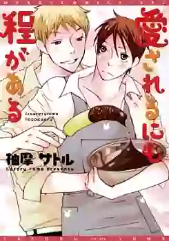 Manga - Manhwa - Ai Sareru nimo Hodo ga Aru vo
