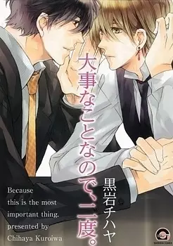 Manga - Daiji na Koto na no de, Nido vo