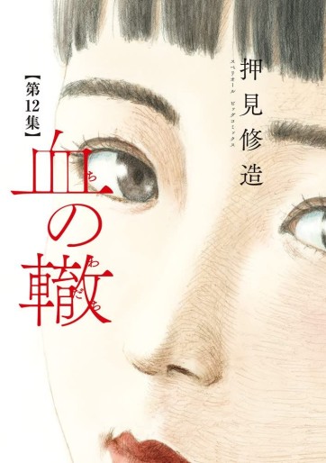 Manga - Manhwa - Chi no Wadachi jp Vol.12