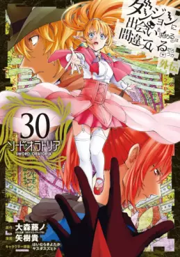 Manga - Manhwa - Dungeon ni Deai wo Motomeru no wa Machigatte Iru Darô Ka - Sword Oratoria jp Vol.30