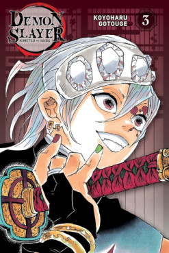 Manga - Manhwa - Demon Slayer - Edition Pilier Vol.3