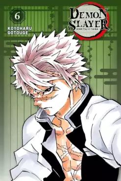 Manga - Manhwa - Demon Slayer - Edition Pilier Vol.6