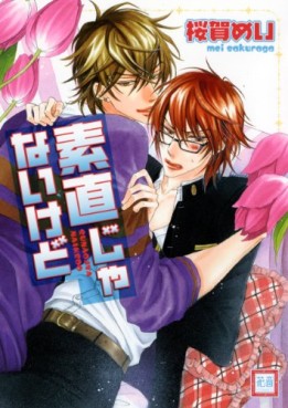 Manga - Manhwa - Warui Koto Shitai Series 11 - Sunao Janai Kedo jp Vol.11
