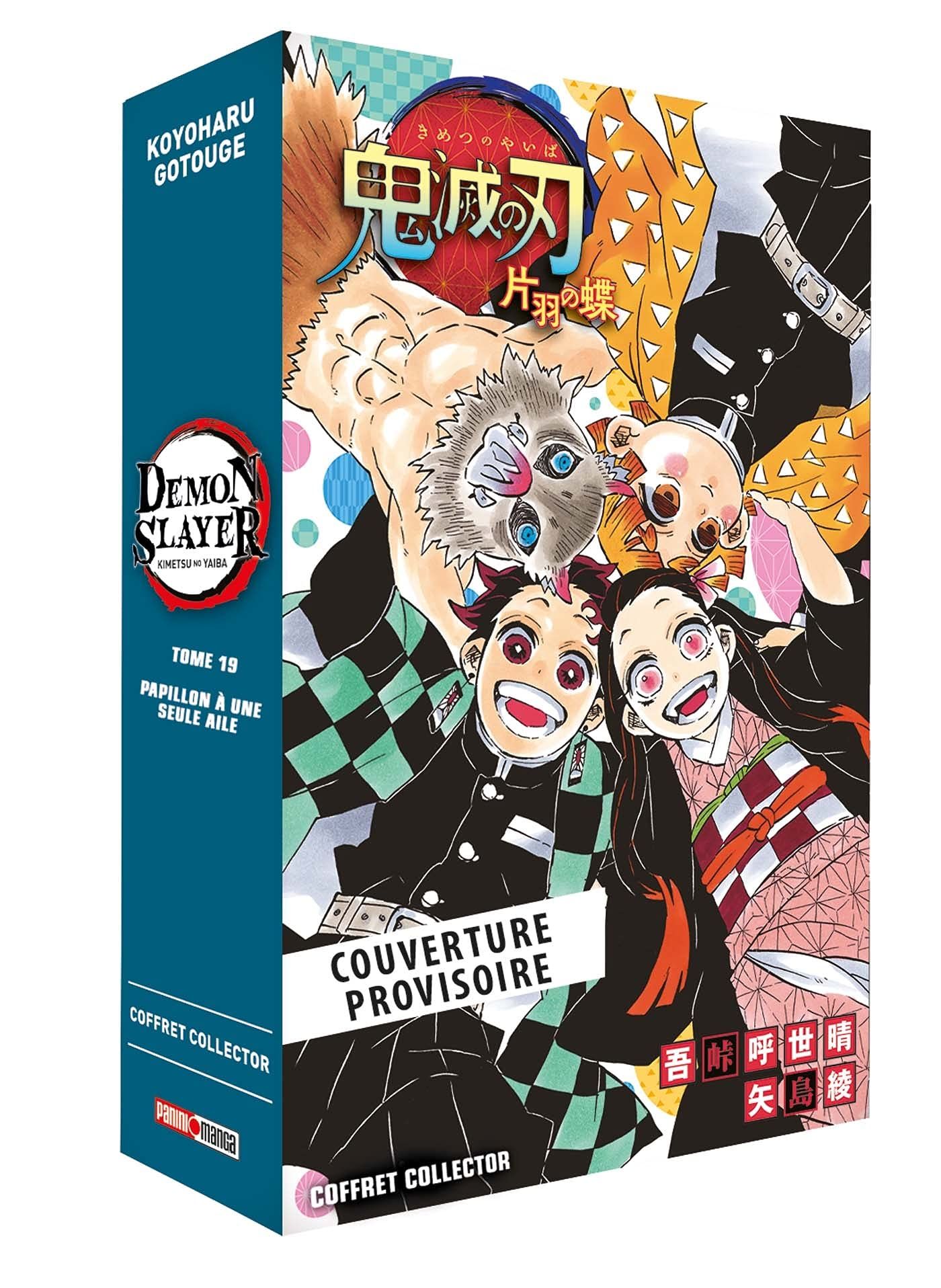 Demon Slayer - Collector Vol.19