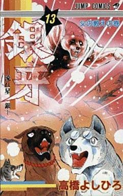 Manga - Manhwa - Ginga - Nagareboshi Gin jp Vol.13